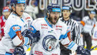 hokej bt
